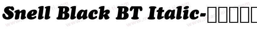 Snell Black BT Italic字体转换